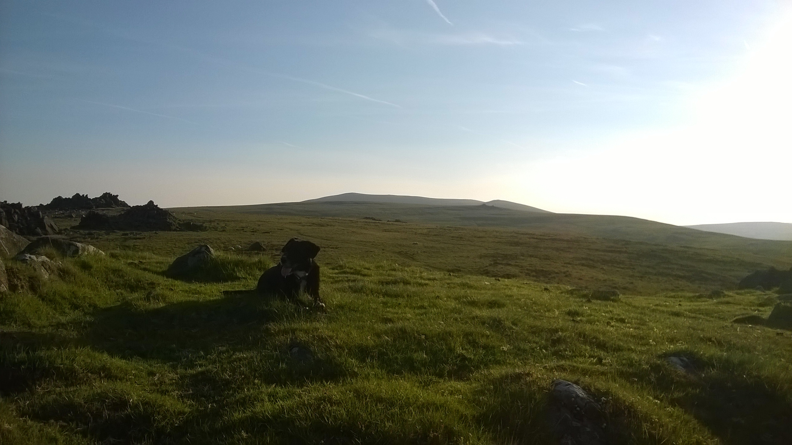 Near Carn Gyfrwy